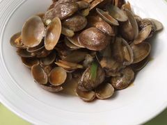 姜葱炒花蛤-高佳庄·舟山海鲜(海景旗舰店)