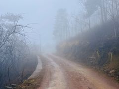 -四明山国家森林公园