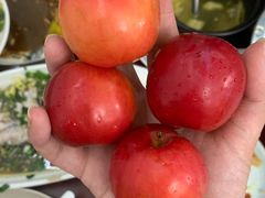 -宾湖农庄·农场特色(太湖龙之梦店)