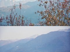 -秦岭风景区