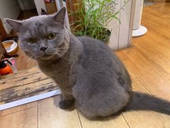 -Rabbit Cafe私房西餐甜点咖啡(栖霞路店)