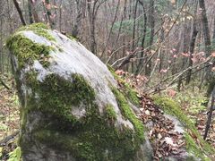 -青峰峡国家森林公园