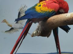 -济南野生动物世界