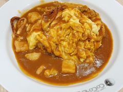 -CoCo壱番屋