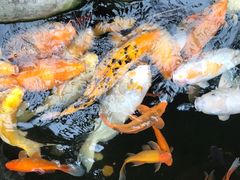 -上海大自然野生昆虫馆(东方明珠·爬宠昆虫探索中心)