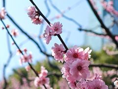 -静安雕塑公园