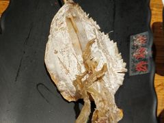 -烧蠔帮·湛江生蚝(工农店)