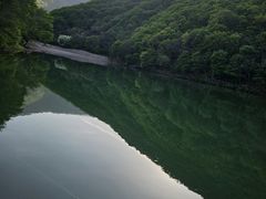 -龙道沟景区