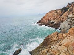 -广东惠东海龟国家级自然保护区