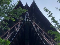 -杭州半山国家森林公园