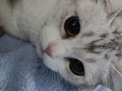 -美美宠物诊疗中心·异宠·骨科(滨江东信分院)