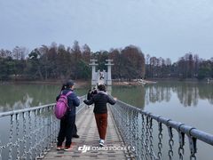 -东湖落雁景区