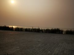 -呼兰河口湿地公园