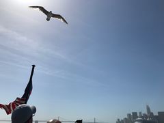 -阿尔卡特拉斯岛