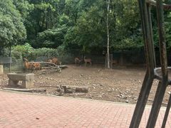 -无锡动物园·太湖欢乐园