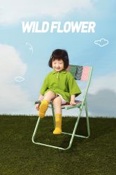 -韩国baby儿童摄影