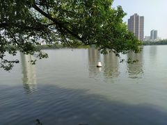 -南昌青山湖风景区