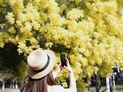 -厦门国家会计学院