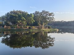 -东莞植物园