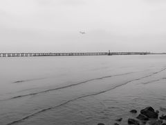 -宝安西湾红树林湿地公园