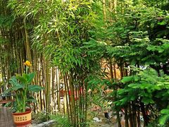 -乖乖佳花园山庄·私房菜(阿哈湖公园店)