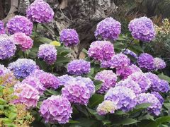 -常州古运河南大街文化旅游区-人民公园