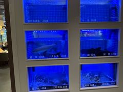 -七采菌园·野生菌石锅鱼(环城北路店)