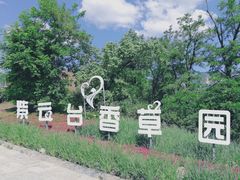 -紫云台香草园