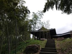 -兰亭风景区