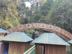 -西双版纳原始森林公园