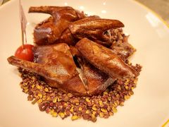 -朱记乳鸽王·非遗石岐乳鸽·全鸽宴(大兴旗舰店)