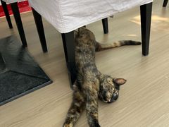 -EATALIA意塔利意式餐厅(鼓楼店)