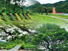-广州市石门国家森林公园