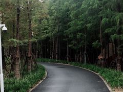 -春花秋色城市公园