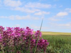 -青海湖国家重点风景名胜区