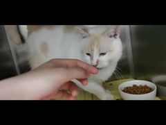 -萌兽医馆·宠物医院·猫骨科(创景店)