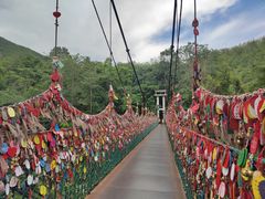 -西双版纳原始森林公园