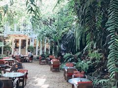 -Fern Forest Cafe