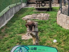 -大连森林动物园