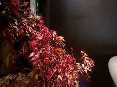 -villaa·别墅·融合菜西餐厅
