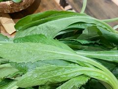 -攀枝花野菜铜火锅(万科凯德店)