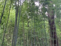 -四门塔风景区