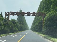 -黄海国家森林公园