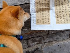 -嵩祝寺及智珠寺