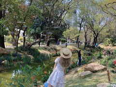 -人民公园(罗湖区)