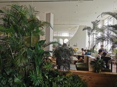 -Seesaw Coffee(朝阳大悦城店)