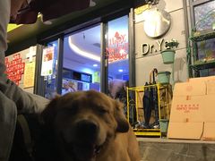 -严国平动物医院(德政总院)