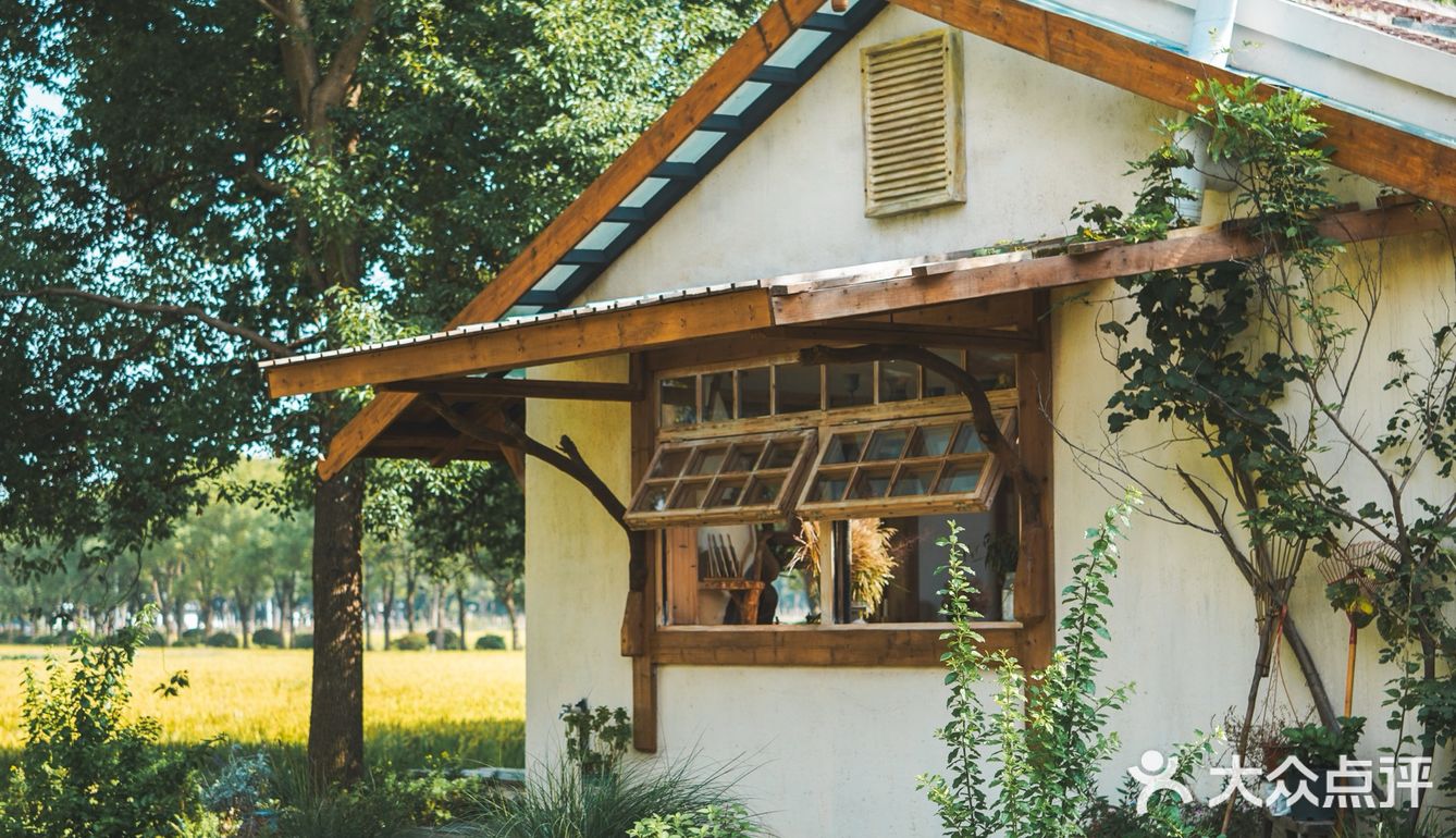 建筑师的稻田咖啡馆，美出天！