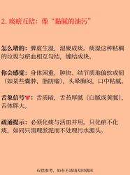 点击看大图 -玛莲朵·海菲秀冰珀科