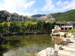 花园-三亚亚龙湾凯莱仙人掌度假酒店
